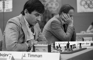 Ljubomir Ljubojevic