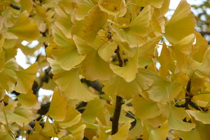 P1020823