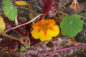 P1020805