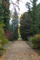 P1020816