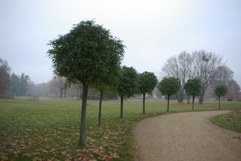 Park im Schloss Sanssouci IMGP6974.JPG