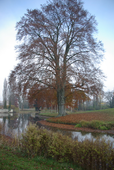 IMGP6977.JPG