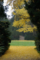 Schloss Sanssouci