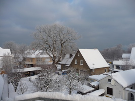 Zingst