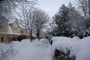Zingst