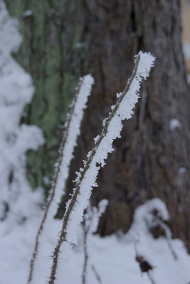 Strandidylle im Winter