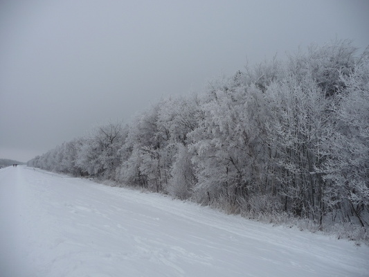 Strandidylle im Winter