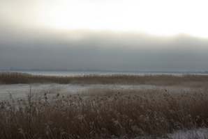 Barther Bodden