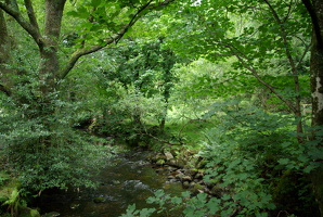 Wicklow Mountains