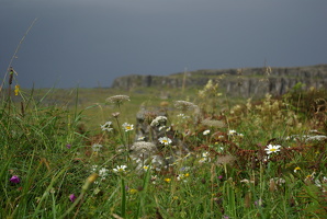 The Burren