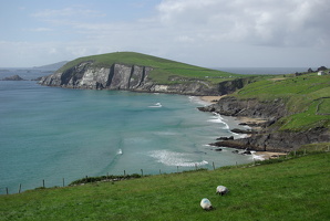 Dingle