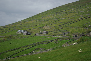 Dingle