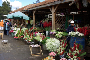 Antananarivo