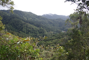 Ranomafana