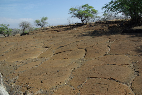 Petroglyphen