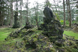 Lava Tree State Monument