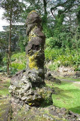 Lava Tree State Monument