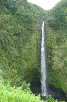 Akaka State Falls Park