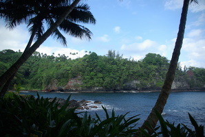 Botanical Garden