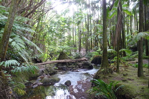 Botanical Garden