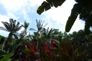 Botanical Garden