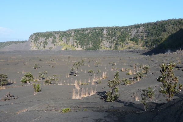 Kilauea Iki Krater