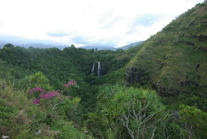 IMGP8386