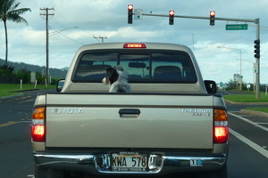 P1030858