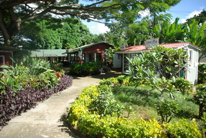 Koloa