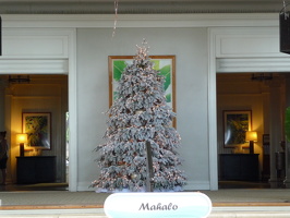 Advent in Honolulu