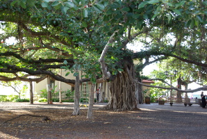 Lahaina