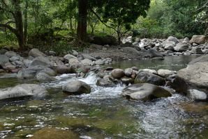 Iao Valley