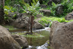 Iao Valley