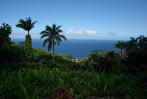 Garden of Eaden