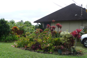 Kapaʻa