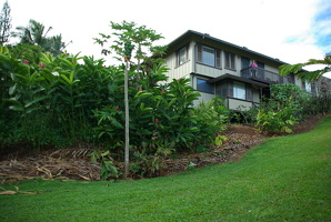 Kapaʻa