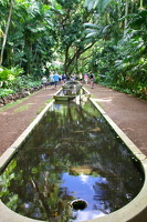 McBryde & Allerton Garden