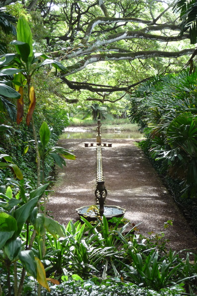 McBryde & Allerton Garden - P1040650.JPG P1040650.JPG