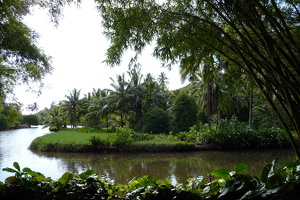 McBryde & Allerton Garden