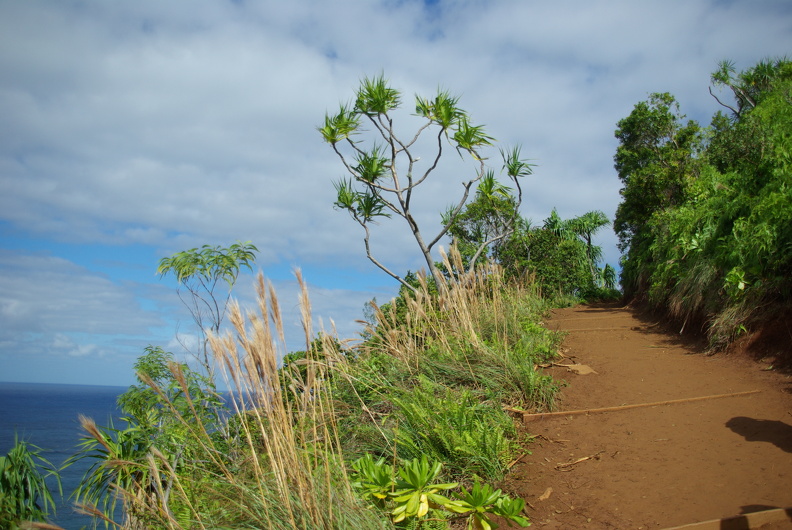Kalalau Trail - IMGP9518.JPG IMGP9518.JPG
