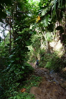 Kalalau Trail