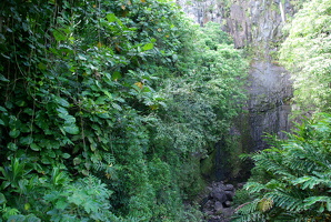 IMGP0004