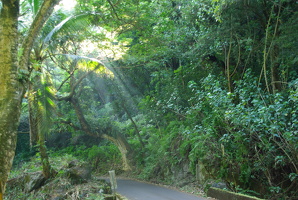 IMGP0009