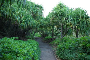 IMGP0021