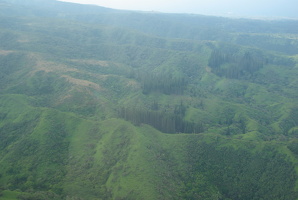 Westmaui