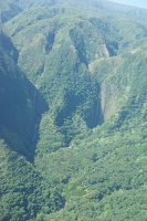 Westmaui