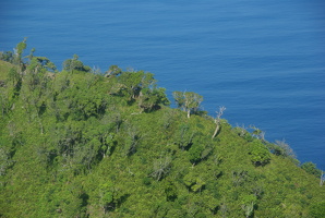 Westmaui