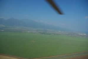 IMGP0102