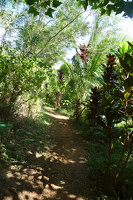 P1050647