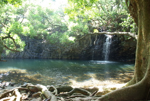 IMGP0193